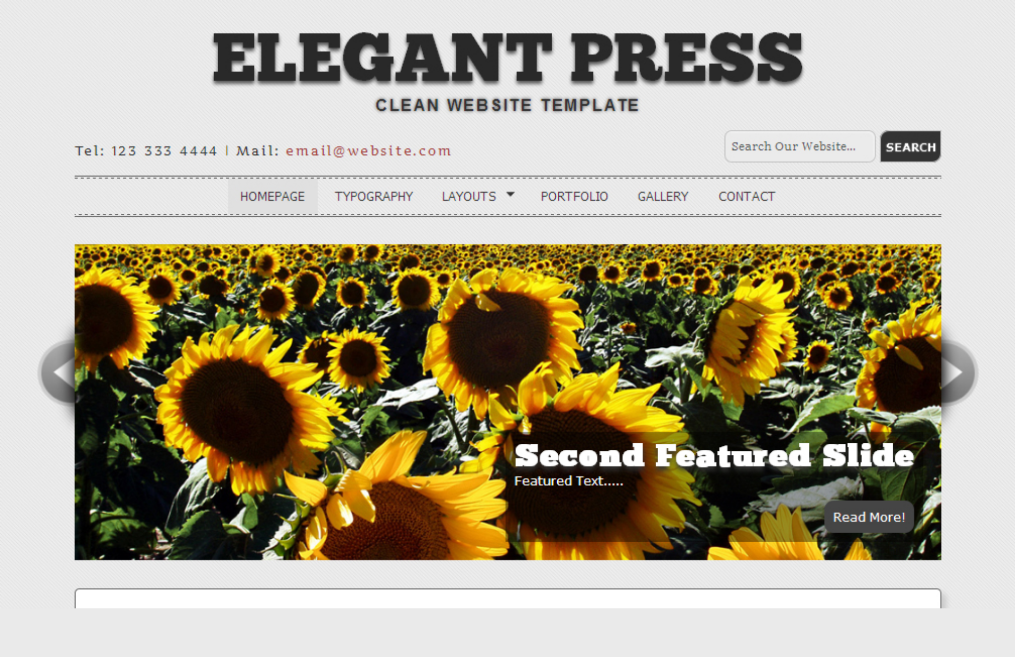 ElegantPress's website, with additional information on the tabs