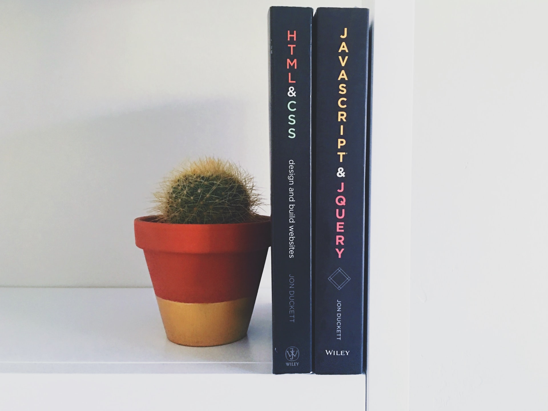 HTML CSS JavaScript And Jquery Books with a cactus in a pot beside it