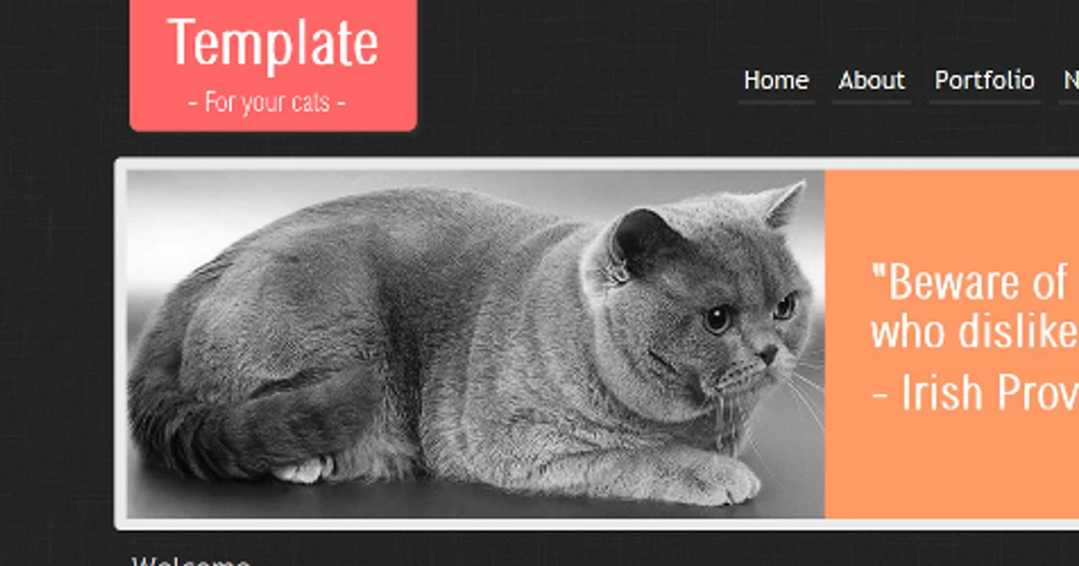 CatTemplate HTML5 And CSS3 Template